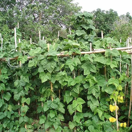 Apartman Marinos At Lourdata Village